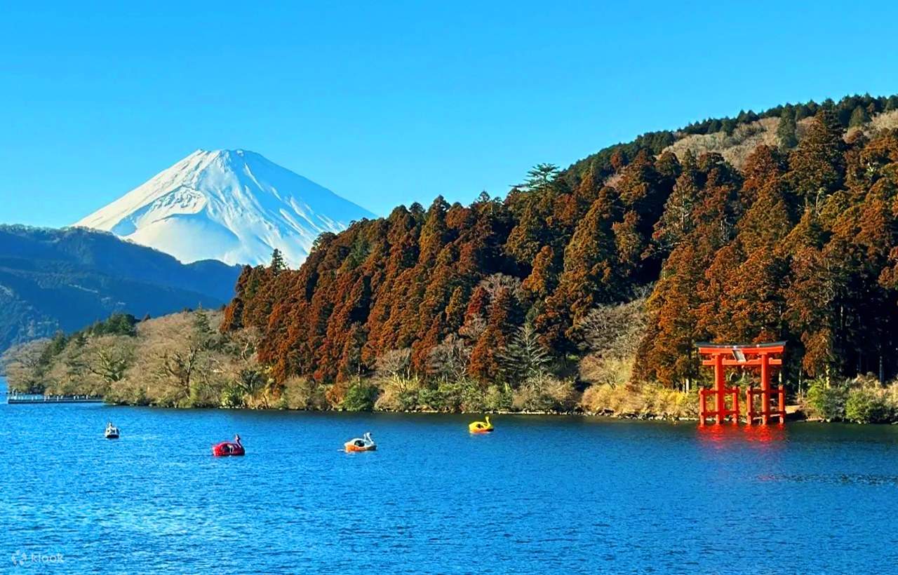 Mount Fuji Hakone Day Trip by Land, Sea, and Air] Hakone Shrine